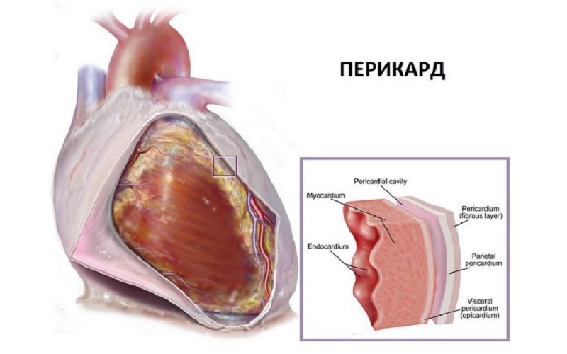 Наш коллега уехал в Китай: больше не устает! Китайский способ лечения любых болезней. 4-197