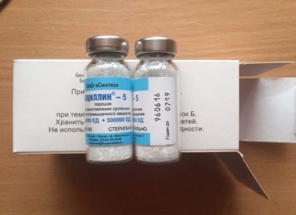 antibiotiki-pri-rozhe2-600x437-1