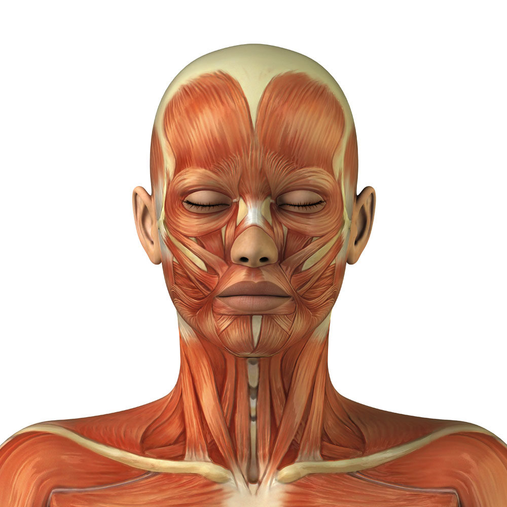 botox2