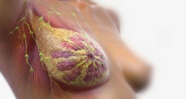 we-drink-it-daily-but-dont-know-that-it-causes-breast-cancer