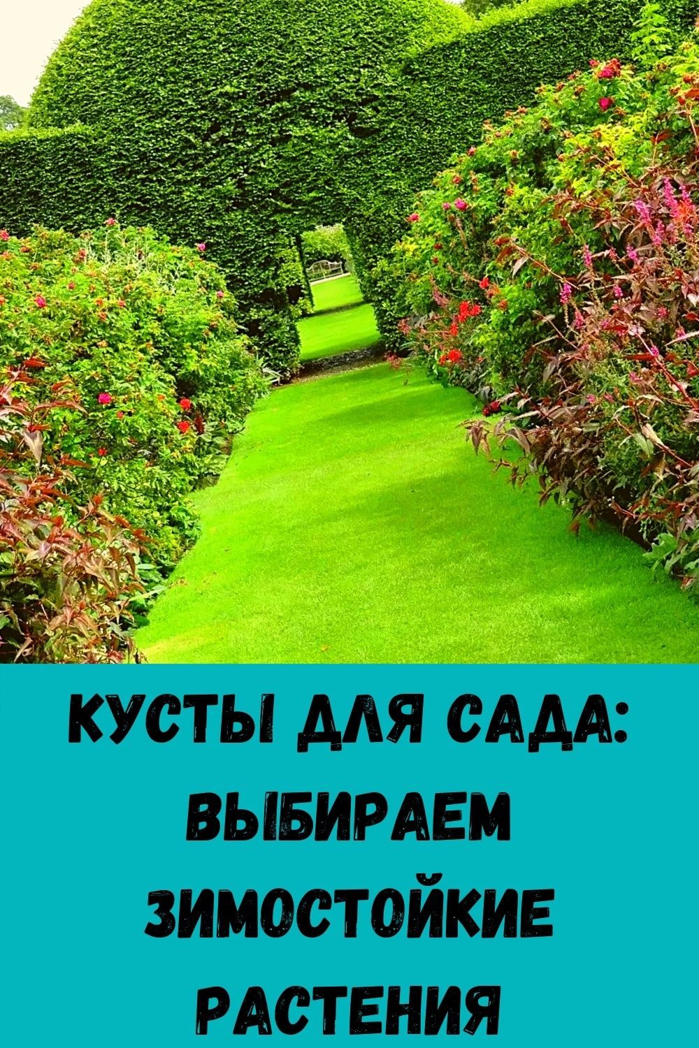zachem-hranit-lavrovyy-list-v-koshelke_-9