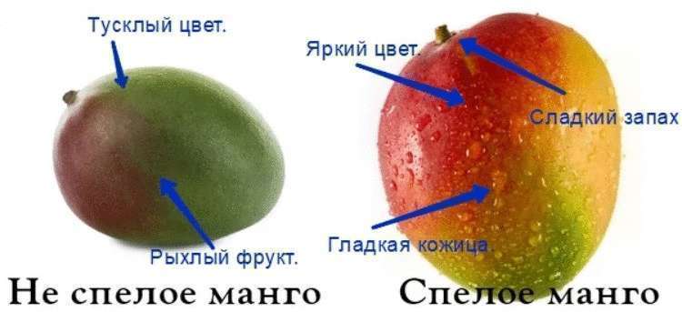 Как выбрать манго, чтобы оно было спелым и вкусным