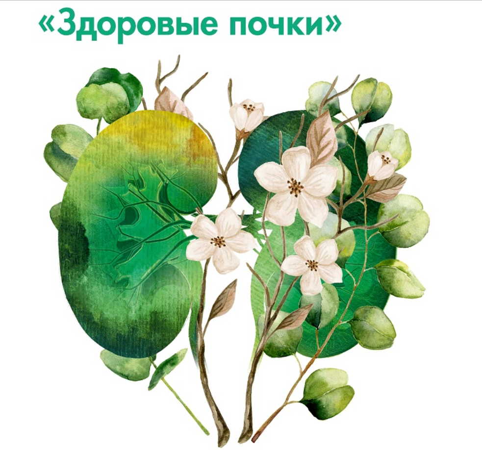 Что любят и что ненавидят наши почки: как сохранить их здоровыми и жить без боли