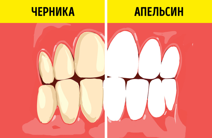 Как сохранить здоровье зубов и отбелить их с помощью еды Как сохранить здоровье зубов и отбелить их с помощью еды