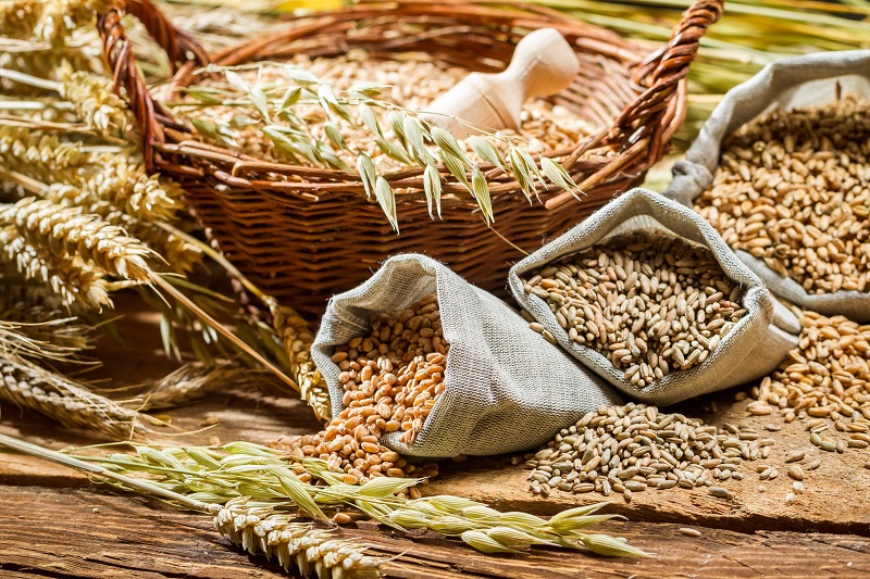 Десять самых здоровых продуктов на планете. Обязательно включите их в свой ежедневный рацион!