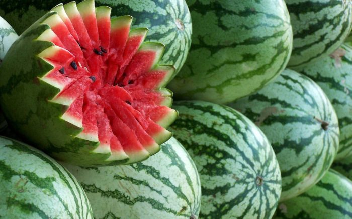 Как выбрать самый спелый и вкусный арбуз в мире: 7 правил, которые нужно помнить каждому арбузофилу
