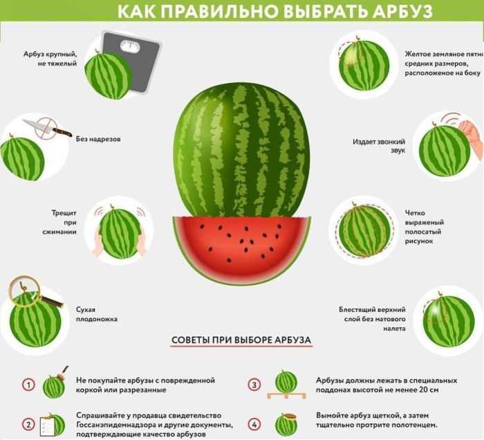 Как выбрать самый спелый и вкусный арбуз в мире: 7 правил, которые нужно помнить каждому арбузофилу