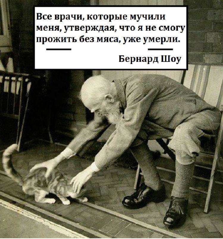 Черновик