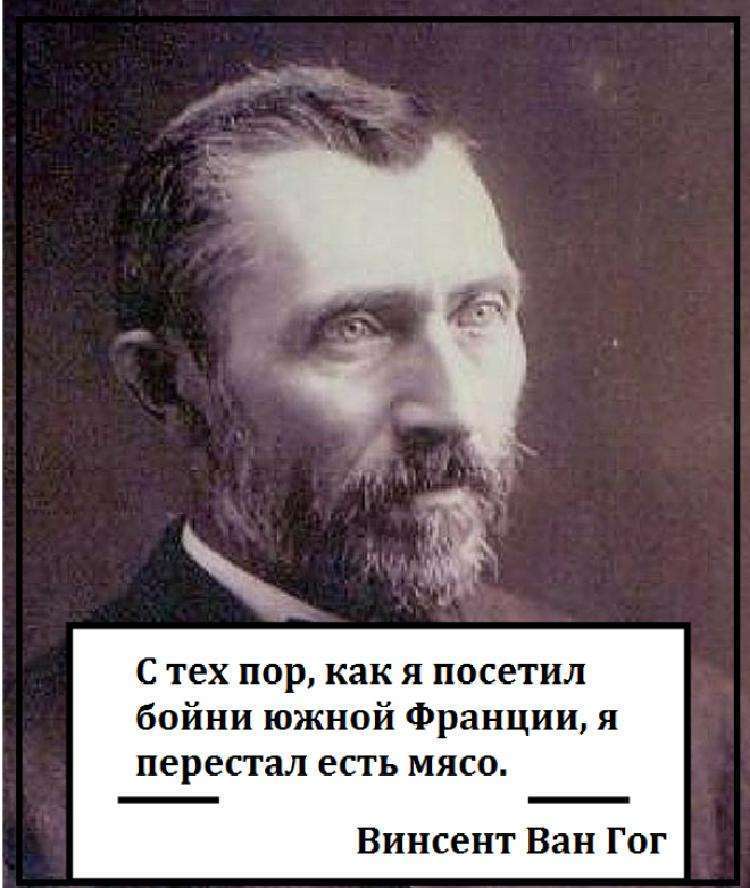 Черновик