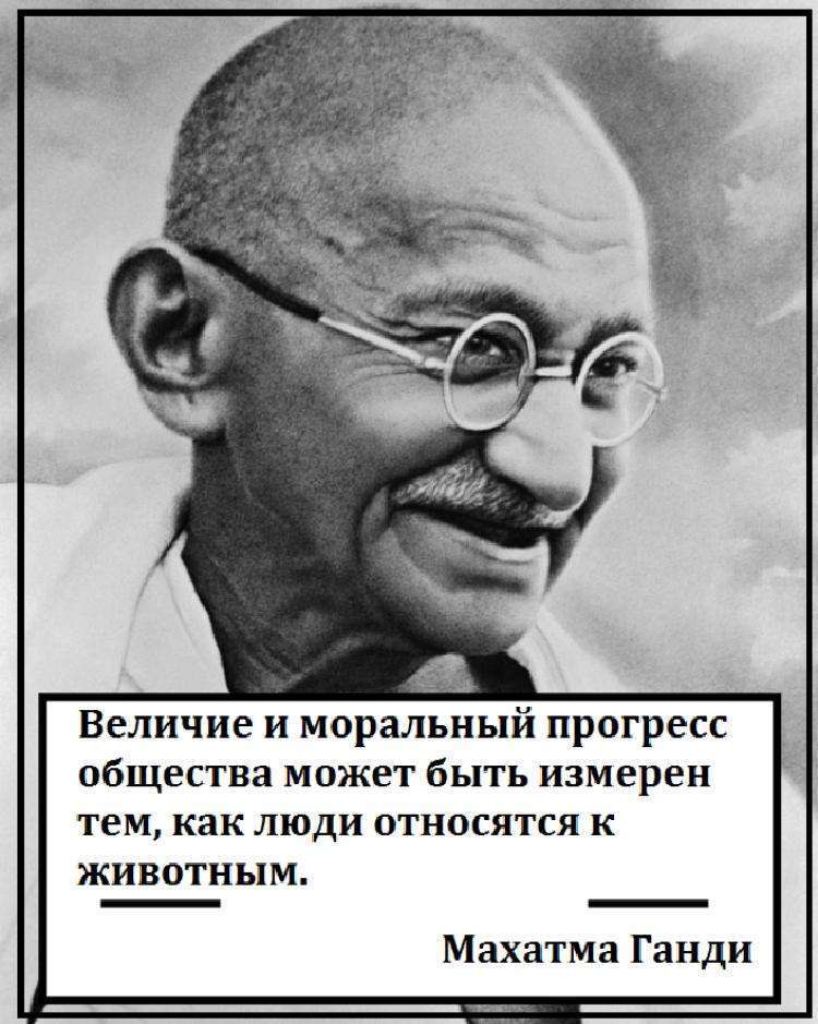 Черновик