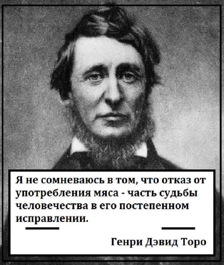 Черновик
