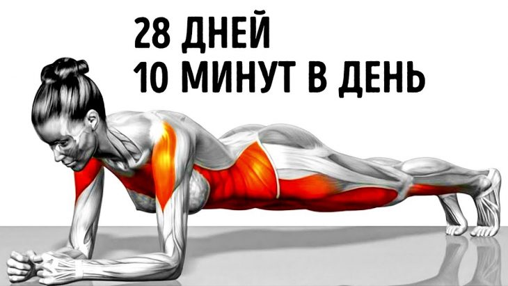 7 упражнений, способные преобразить ваше тело всего за 28 дней 7 упражнений, способные преобразить ваше тело всего за 28 дней