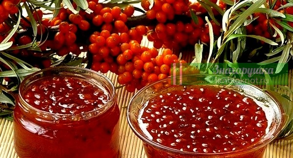 Узнаем больше! ПОЛЕЗНАЯ и необходимая организму ОБЛЕПИХА