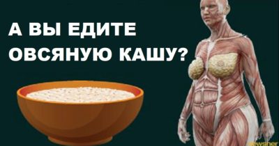 Исследования показали, что произойдёт с организмом, если каждый день на завтрак съедать овсяную кашу Исследования показали, что произойдёт с организмом, если каждый день на завтрак съедать овсяную кашу