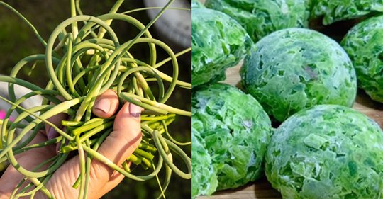 Чесночные стрелки-богатый витаминами продукт,замечательная специя и прекрасное лекарство.
