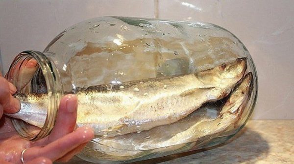 Больше не покупаю магазинную соленую селедку. Этот рецепт засолки селедки самый вкусный